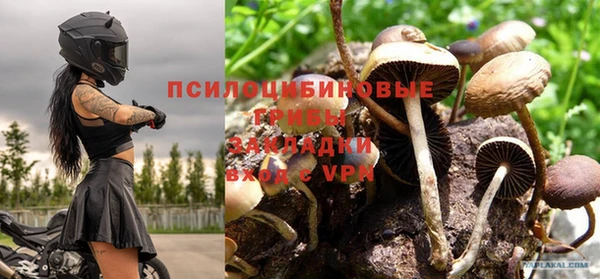 гидра Алексин