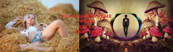 каннабис Алзамай